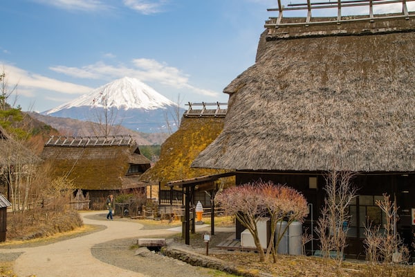 Lake Saiko Iyashi no Sato NENBA which includes mountains and a small town or village