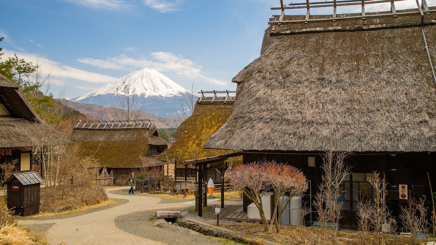 Lake Saiko Iyashi no Sato NENBA which includes mountains and a small town or village