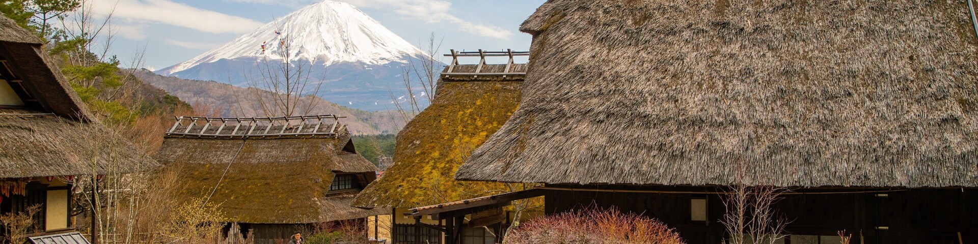 Lake Saiko Iyashi no Sato NENBA which includes mountains and a small town or village