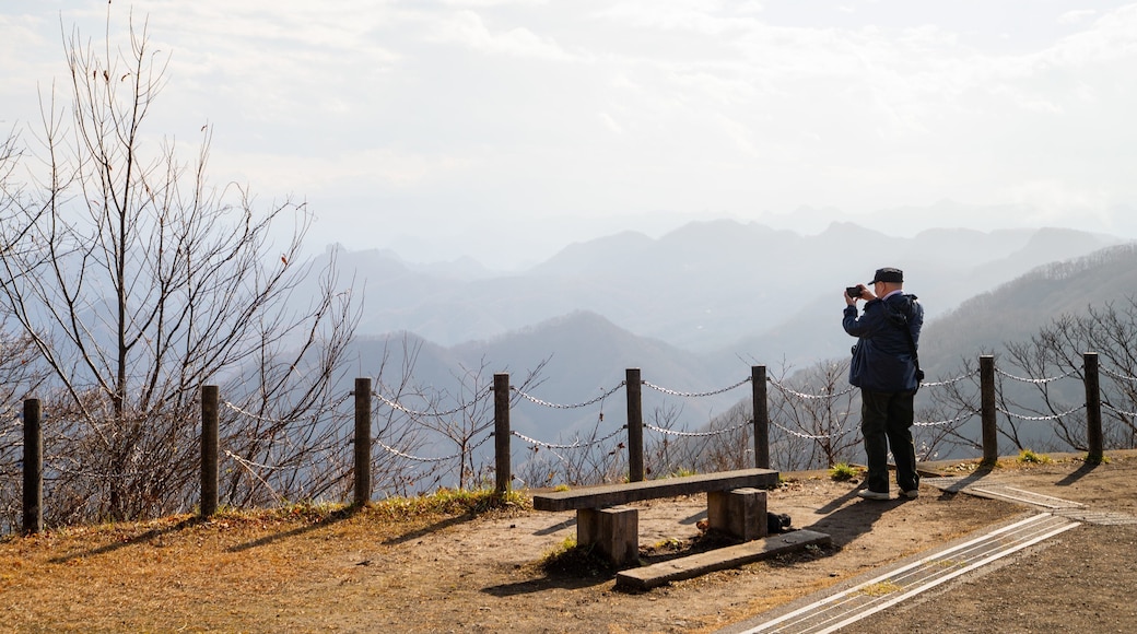 Usui Pass Observation Platform which includes tranquil scenes, landscape views and views