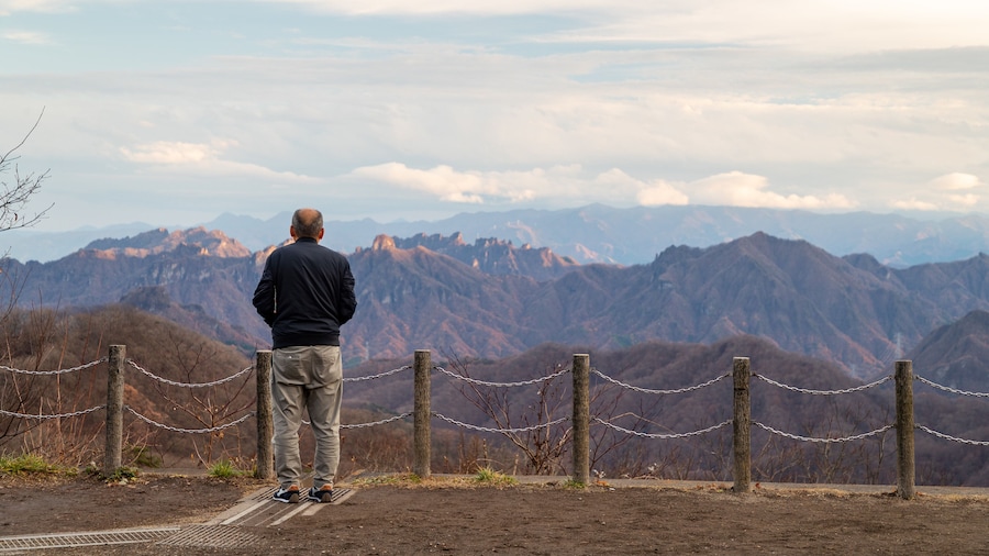 Usui Pass Observation Platform featuring views and tranquil scenes as well as an individual male