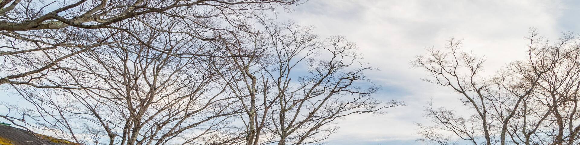 Usui Pass Observation Platform showing tranquil scenes