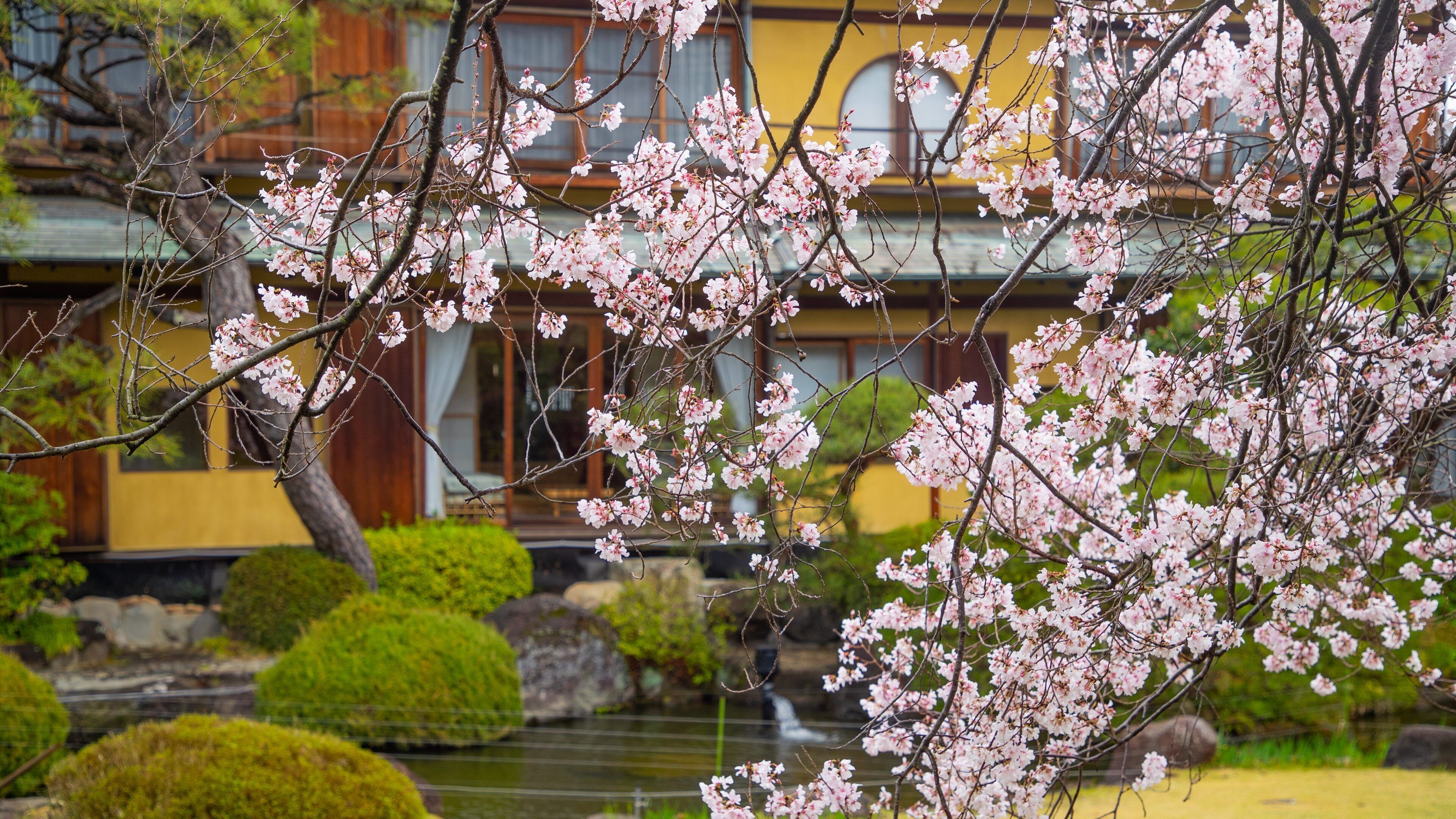 Kiunkaku Former Ryokan which includes wildflowers