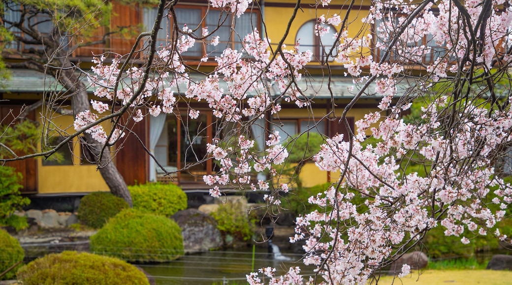 Kiunkaku Former Ryokan which includes wildflowers