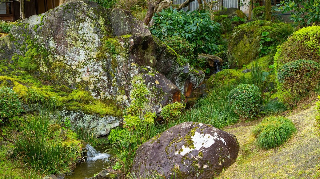 Kiunkaku Former Ryokan featuring a park and a river or creek