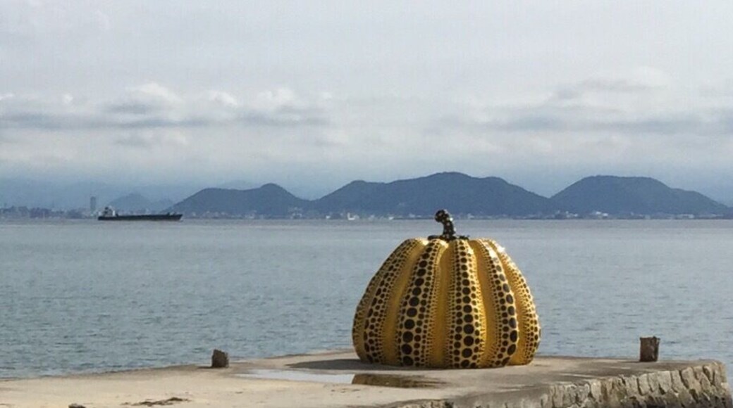 Part of the outdoor art collection from Benesse Museum. Apparently very famous internationally!