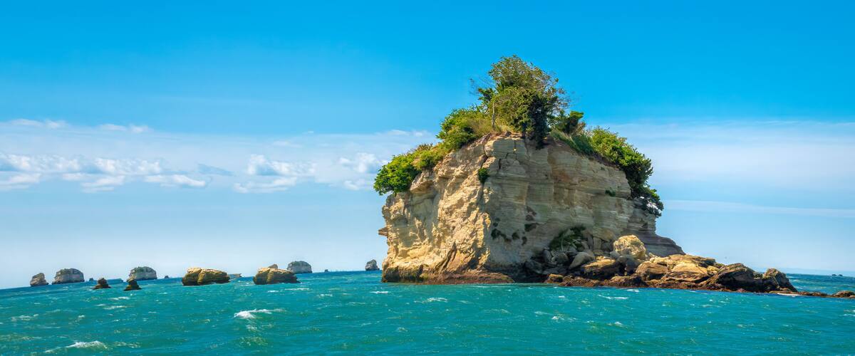 A rocky island with a tree in the center surrounded by turquoise sea.