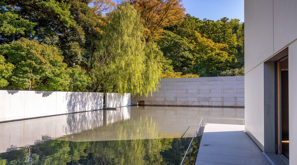 Seisonkaku Villa which includes a fountain