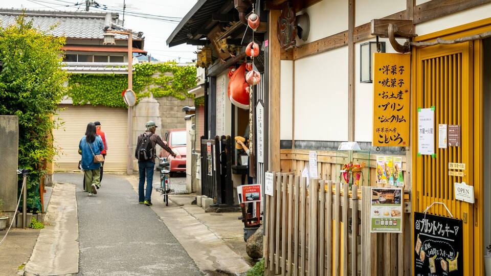 Naramachi showing street scenes