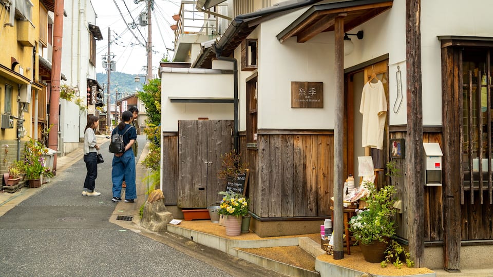 A narrow street lined with traditional wooden houses, some with wooden doors and windows, and various potted plants and flowers.
