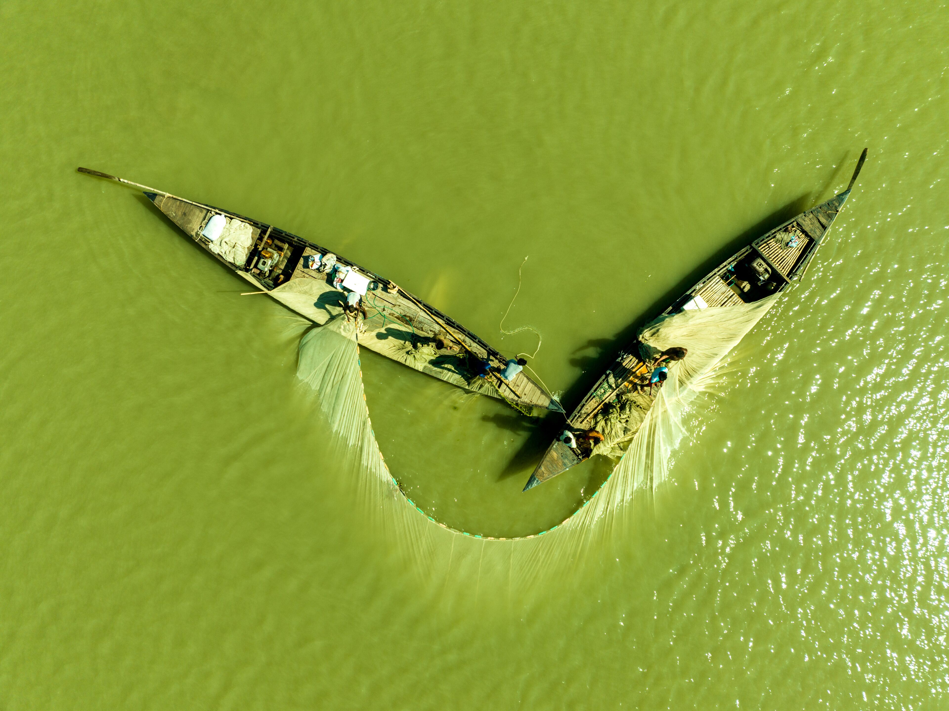Aerial view of two dark fishing boats casting a wide, delicate net across the vivid green waters, Bogura, Rajshahi Division, Bangladesh.