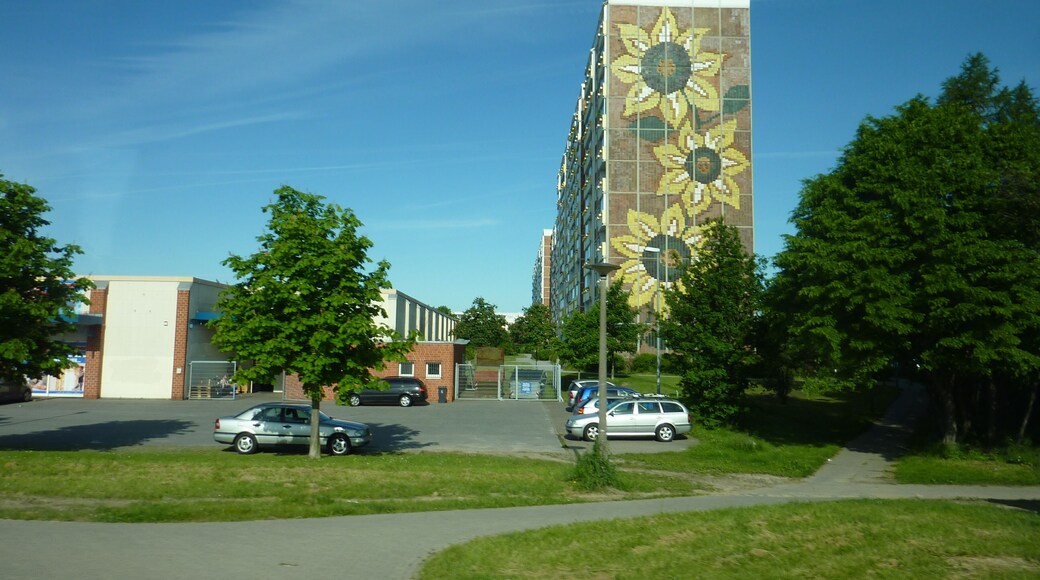 Панельные подсолнухи