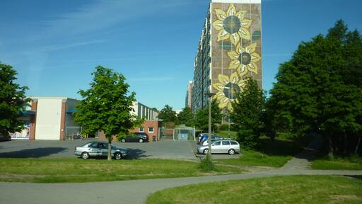 Панельные подсолнухи