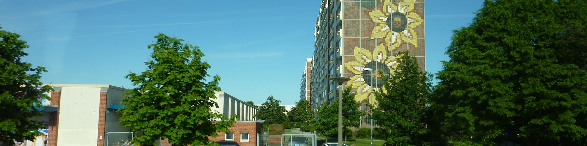 Панельные подсолнухи