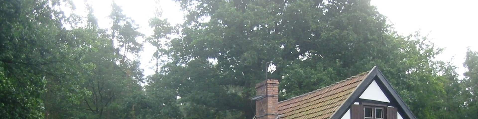 Wiethagen Forest and Charcoal Burning Lodge Museum in Rostock-Wiethagen