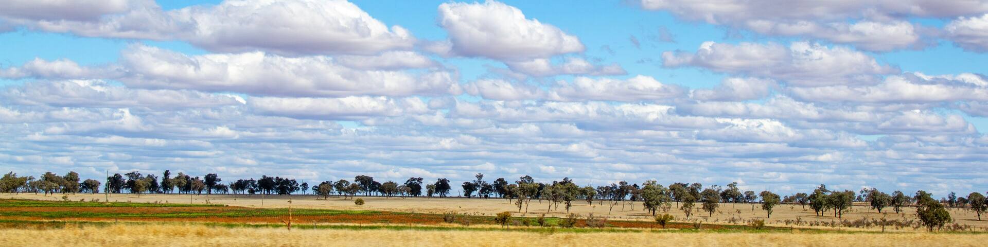 Farmland near Roma, Queensland, Australia. Row of trees on the horizon with cloud formation in the sky.