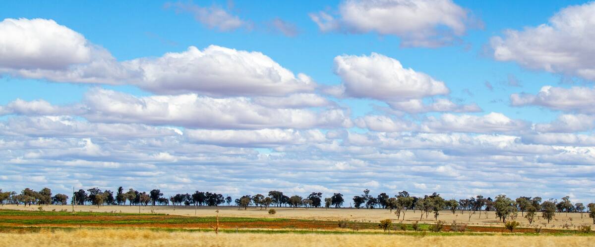 A wide-open field with scattered trees under a blue sky with clouds.