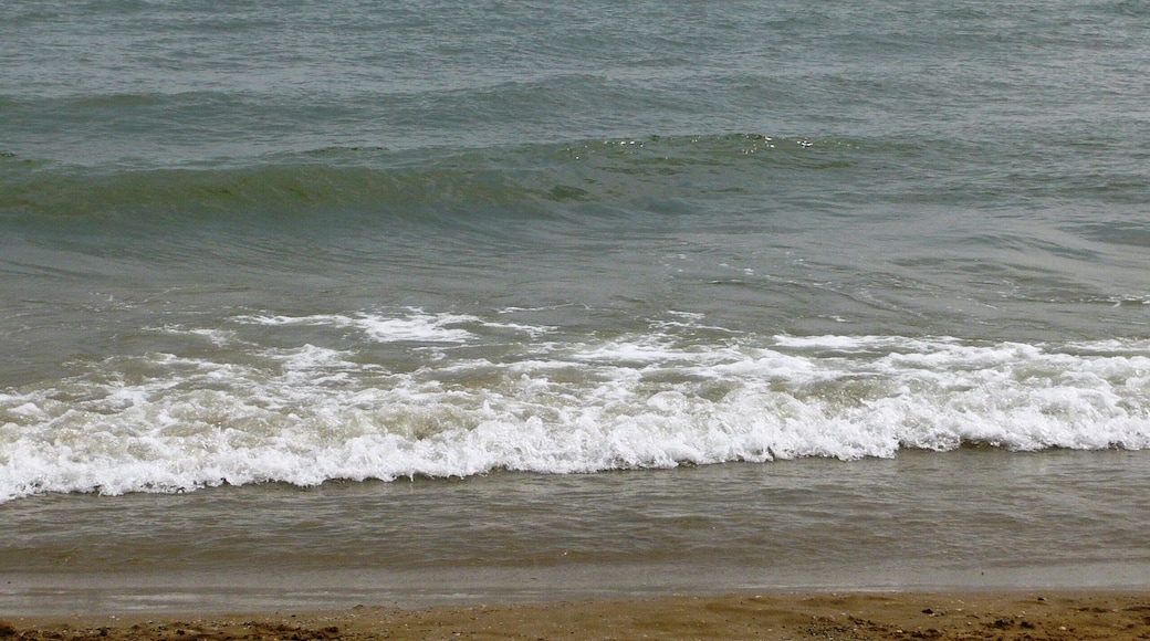 Rimini agosto 2013 5