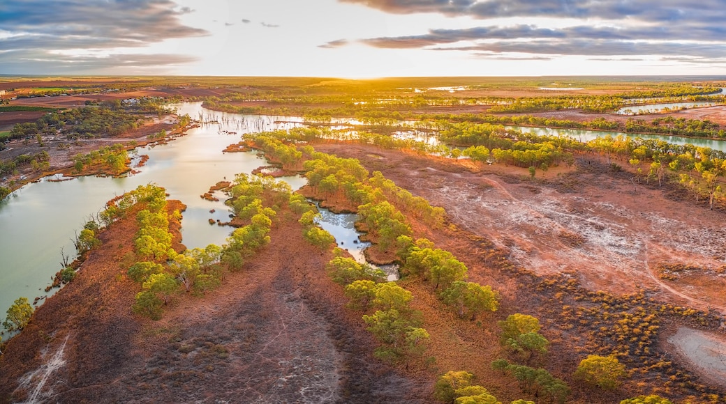 Wide aerial panorama of iconic Murray River flowing among native trees at sunset
