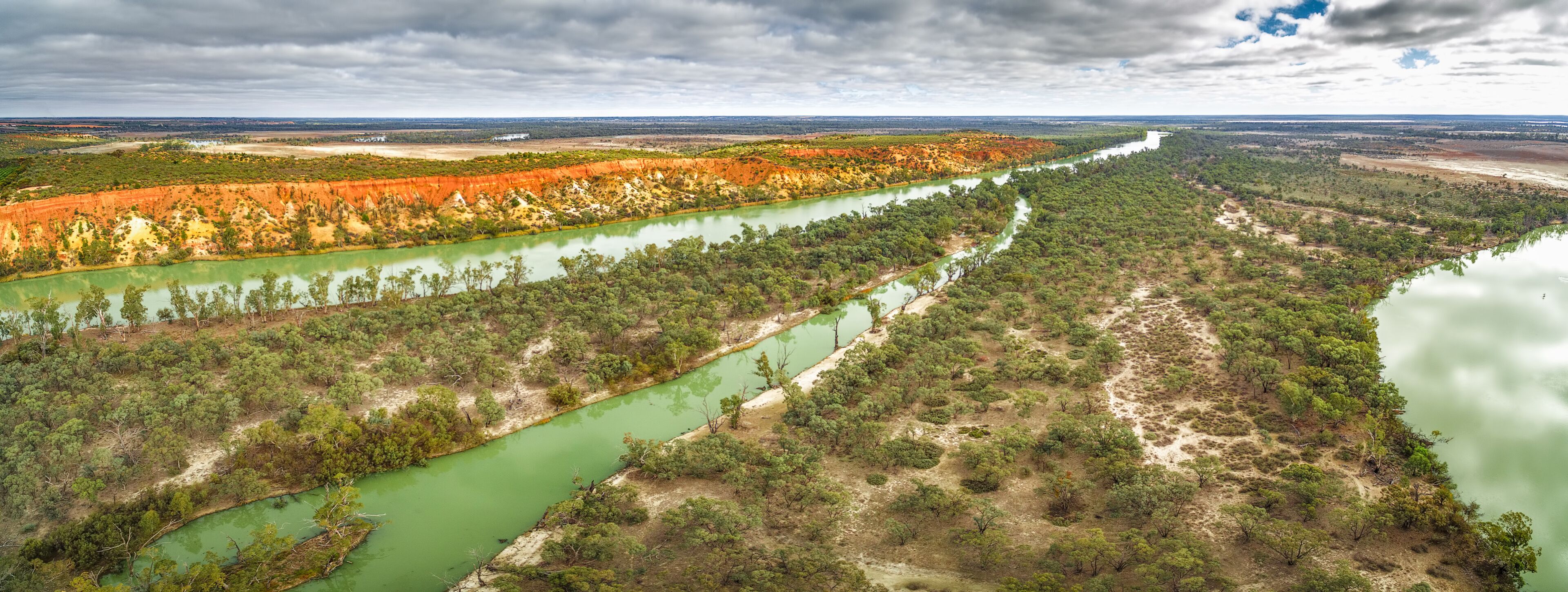 Aerial panoramic landscape of  gum trees growing on the shores of the famous Murray River flowing through Riverland region of South Australia