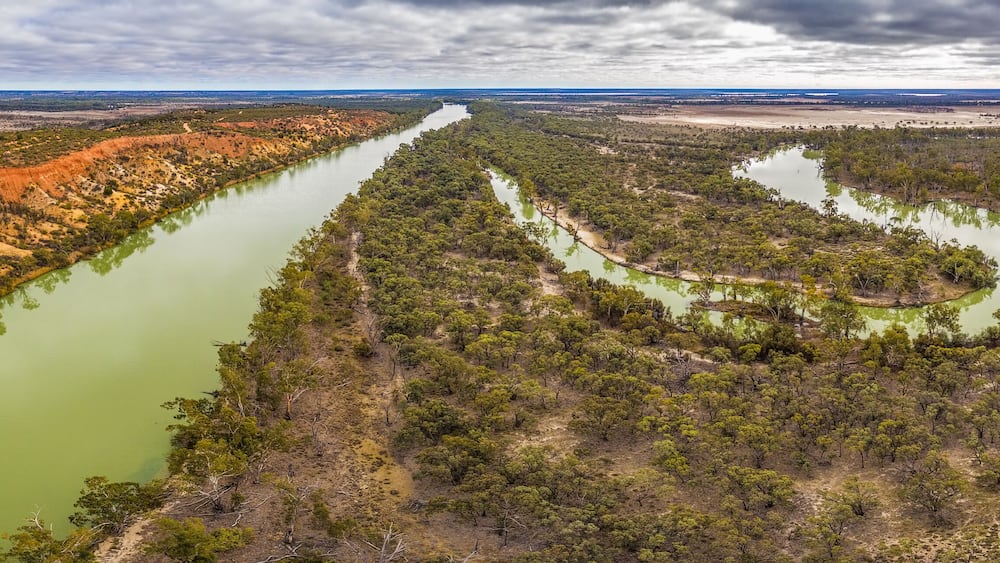 Wide aerial panorama of eroding sandstone cliffs over meandering Murray River in South Australia