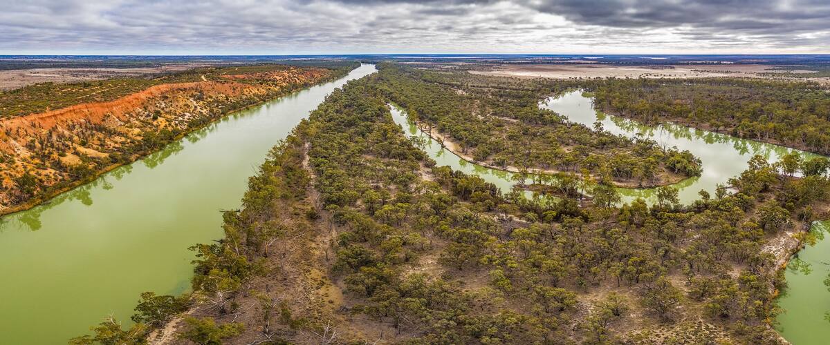 Wide aerial panorama of eroding sandstone cliffs over meandering Murray River in South Australia