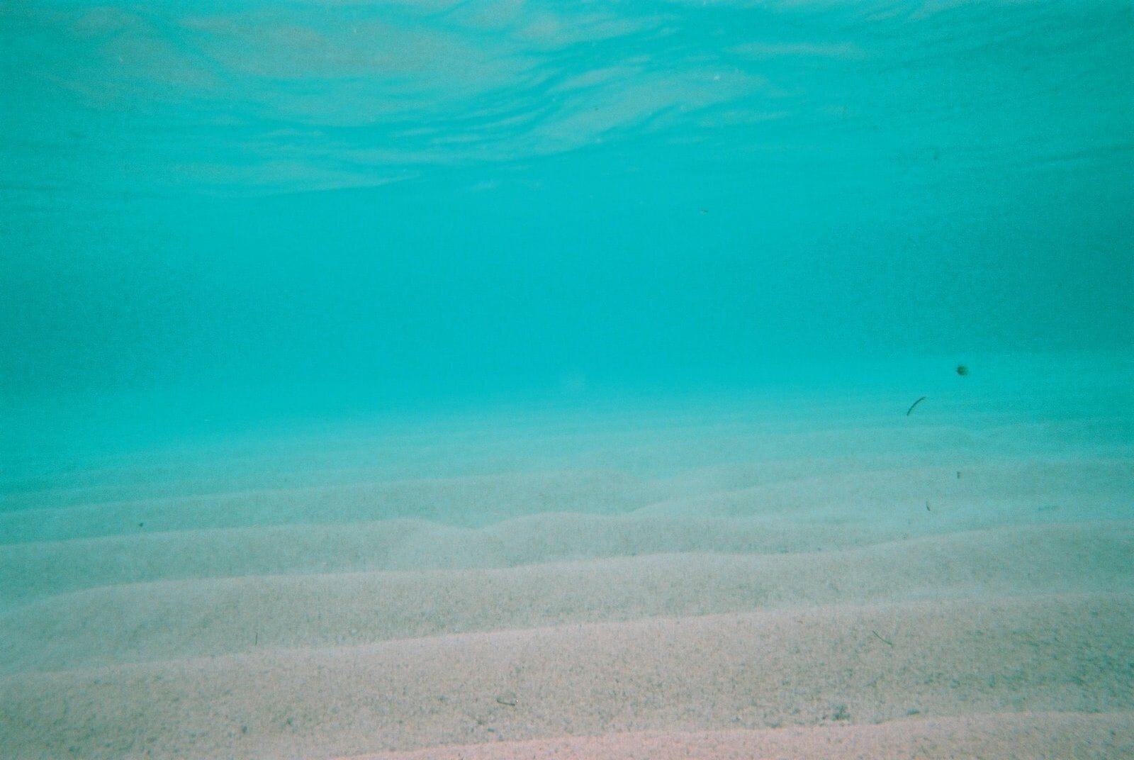 Unnamed Road, Furusato, Yoron-chō, Ōshima-gun, Kagoshima-ken 891-9307, Japan