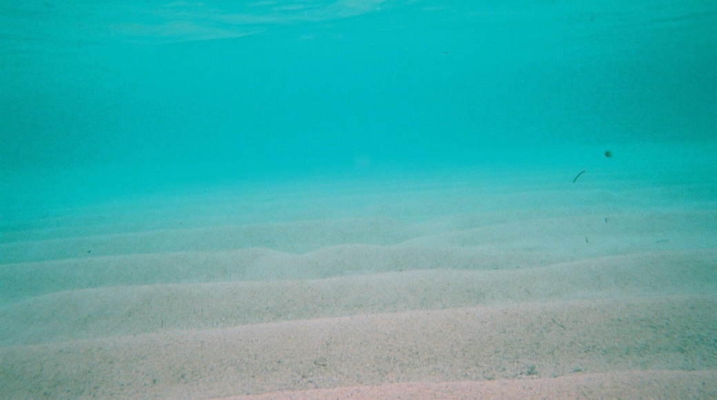 Unnamed Road, Furusato, Yoron-chō, Ōshima-gun, Kagoshima-ken 891-9307, Japan