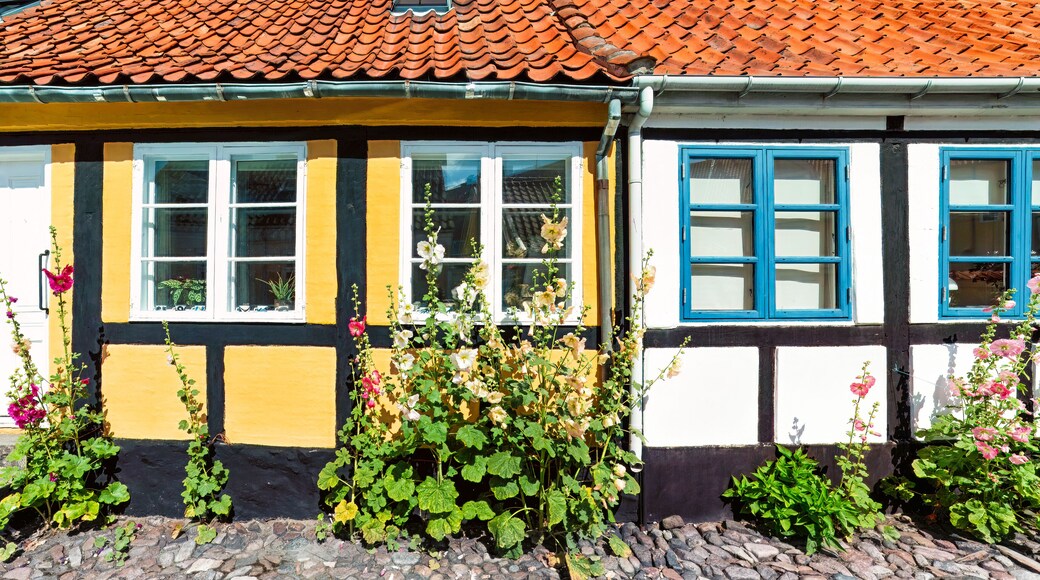 Painted like memory half timbered houses of Ronne, bloom at the base with hollyhocks. Summer slowly rhythm in pale blue and honey tones.