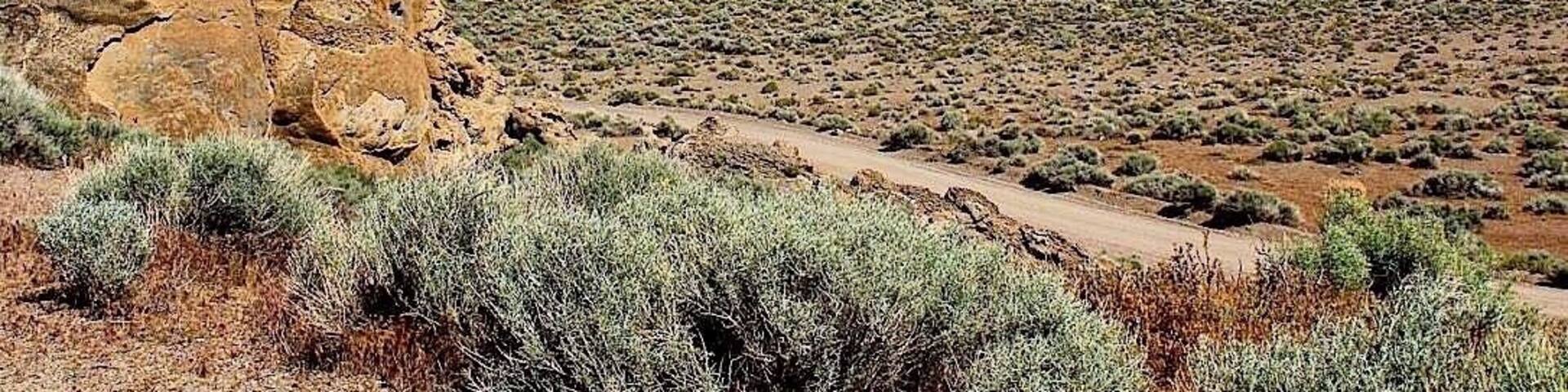 Up close with a Tufa at pyramid lake.
#springfun