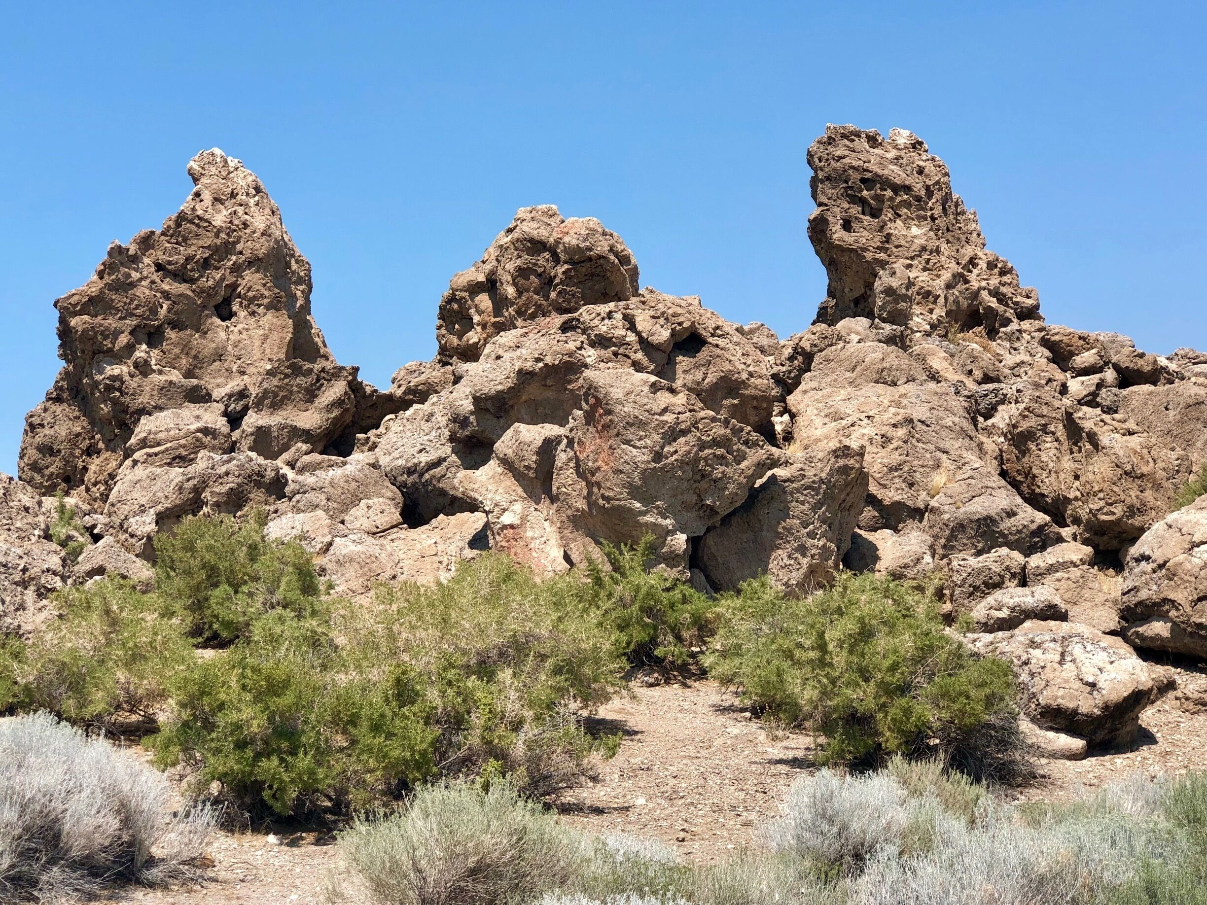 Tufa rocks are a type of limestone which is created when carbonic acid comes in contact with water. Pyramid Lake has these structures all along its shoreline. 