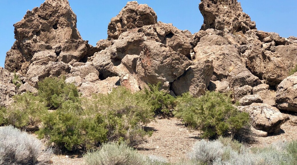 Tufa rocks are a type of limestone which is created when carbonic acid comes in contact with water. Pyramid Lake has these structures all along its shoreline.