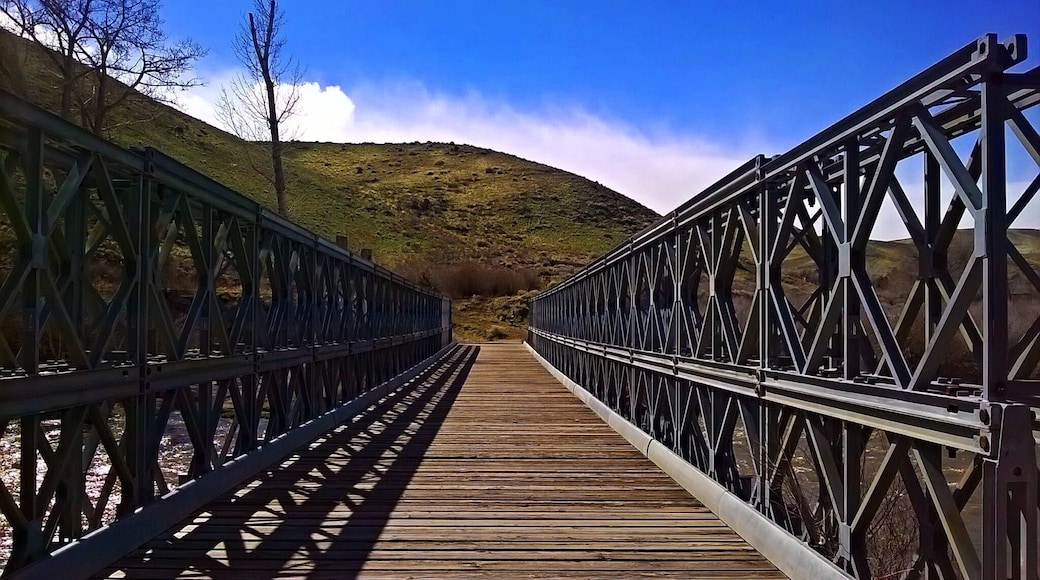 This is a bridge that connects towards the head trail of Tom Cooke.
#pattern #takeahike