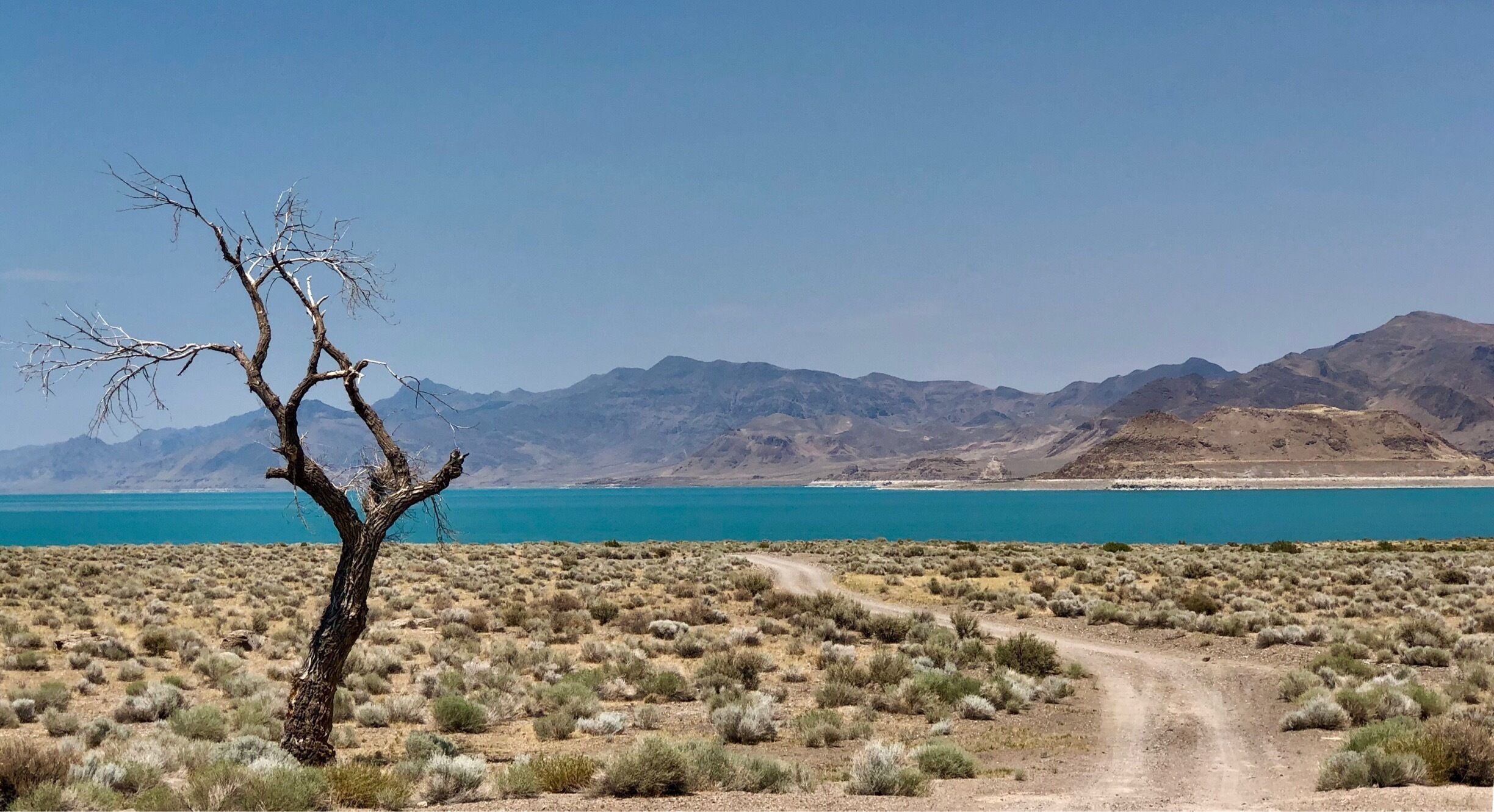 Stunning, stark scenery all around us as we take to the roads less travelled. 