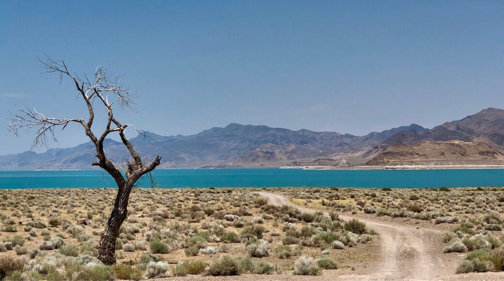 Stunning, stark scenery all around us as we take to the roads less travelled.