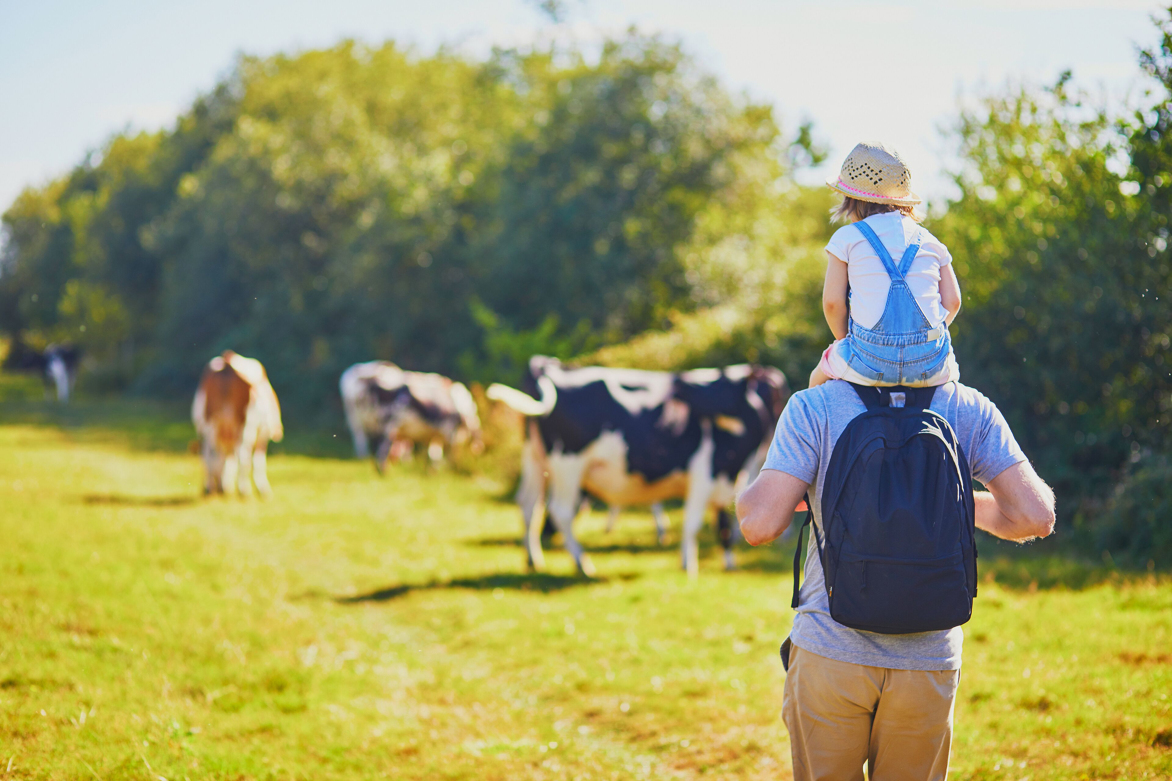 Uma pessoa carregando uma criança nas costas, caminhando por um campo gramado, com vacas ao fundo.