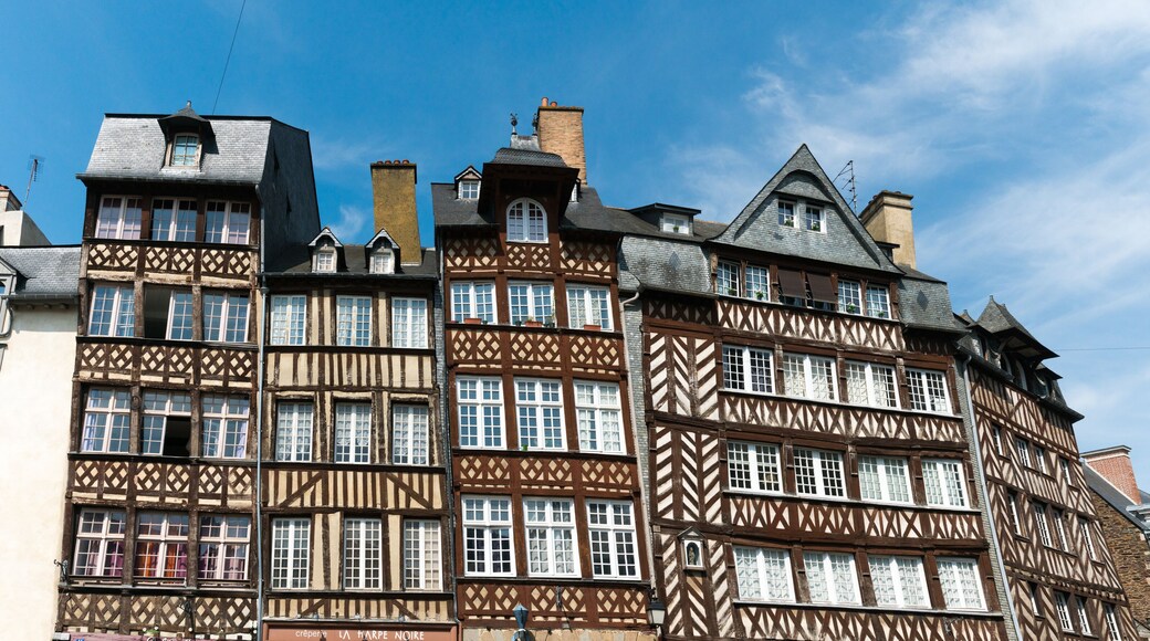 A row of traditional half-timbered buildings with multiple chimneys and windows.
