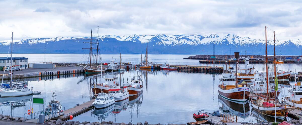 Iceland, Husavic town location. Picturesque panoramic view of northern town Husavik, old harbor with anchored wooden vessels operated for whale watching excursions. Blue hour dusk tranquil scenery.