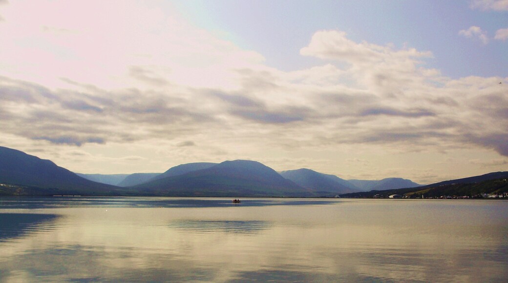 Iceland is stunning! There is so much natural beauty just everywhere you turn.