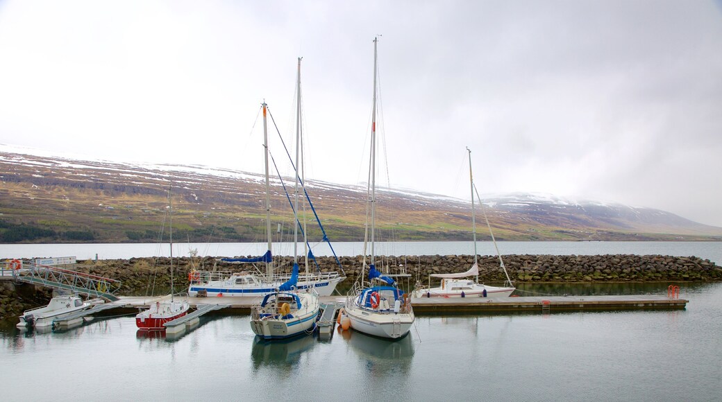 Akureyri mostrando navegación, una bahía o puerto y paseos en lancha