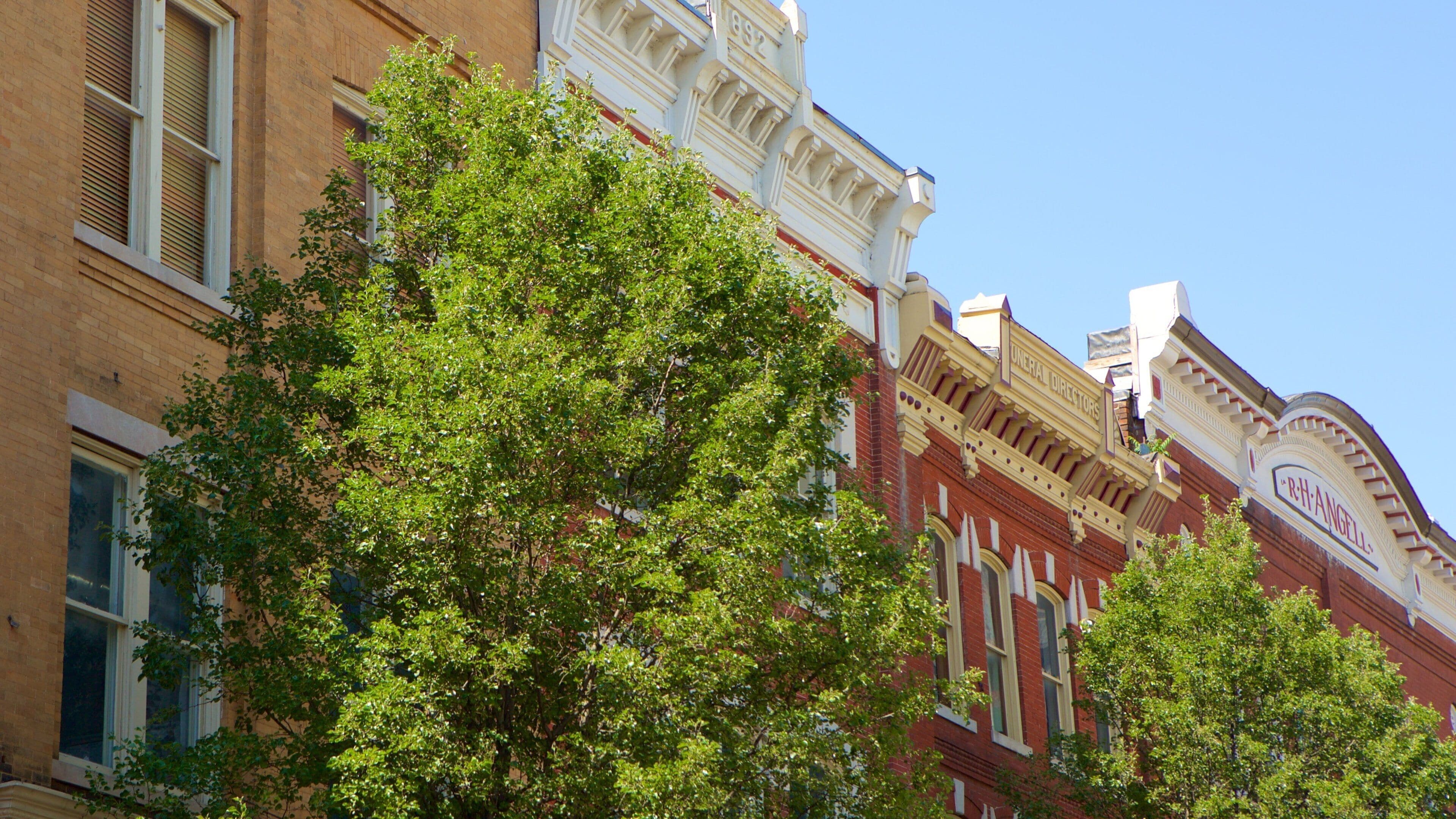 Roanoke featuring heritage elements