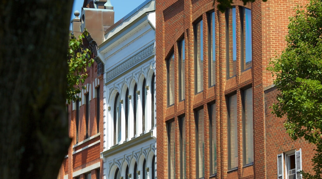 Roanoke which includes heritage elements