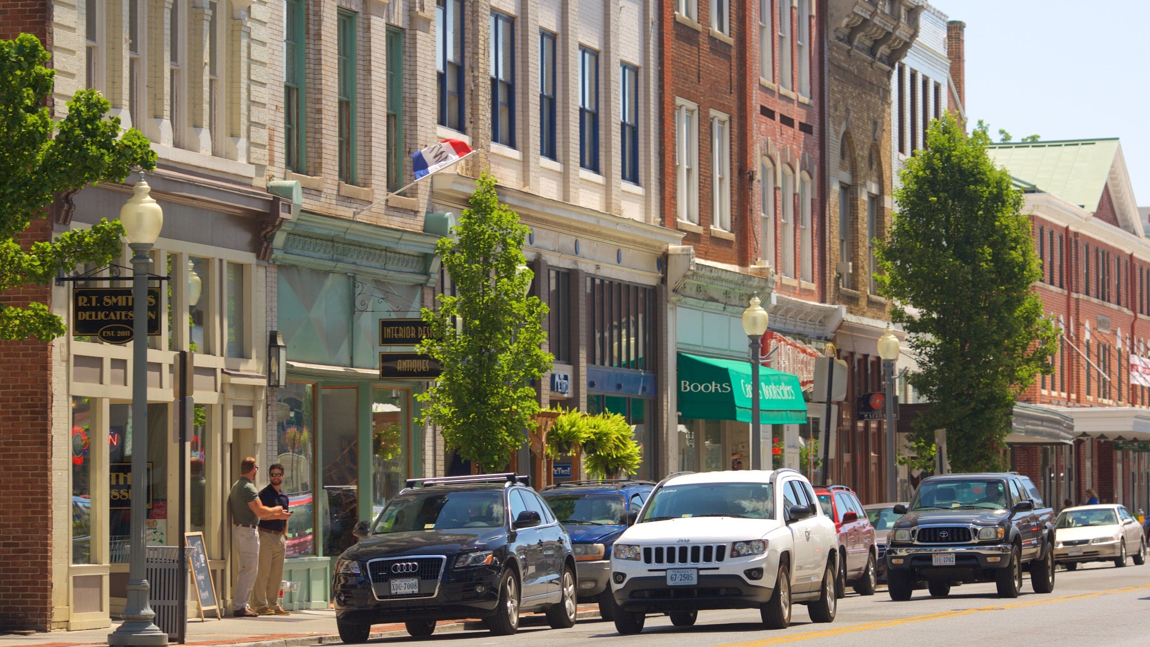 Roanoke showing street scenes and heritage elements