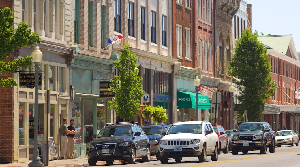 Roanoke showing street scenes and heritage elements