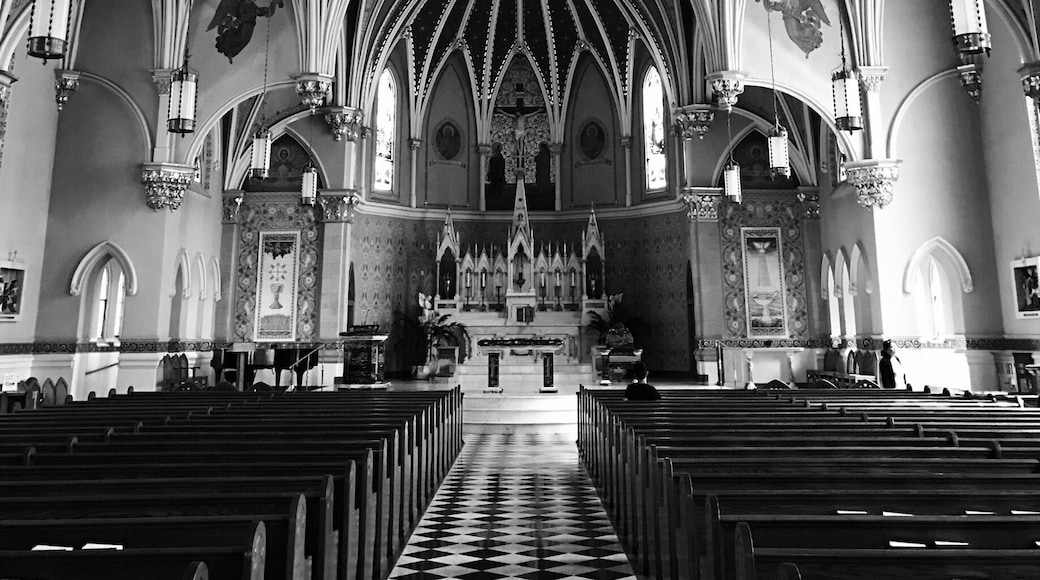 Strong curves and lines of the Church