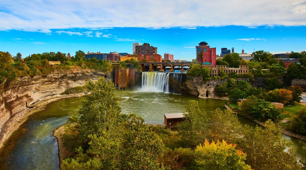 โรเชสเตอร์