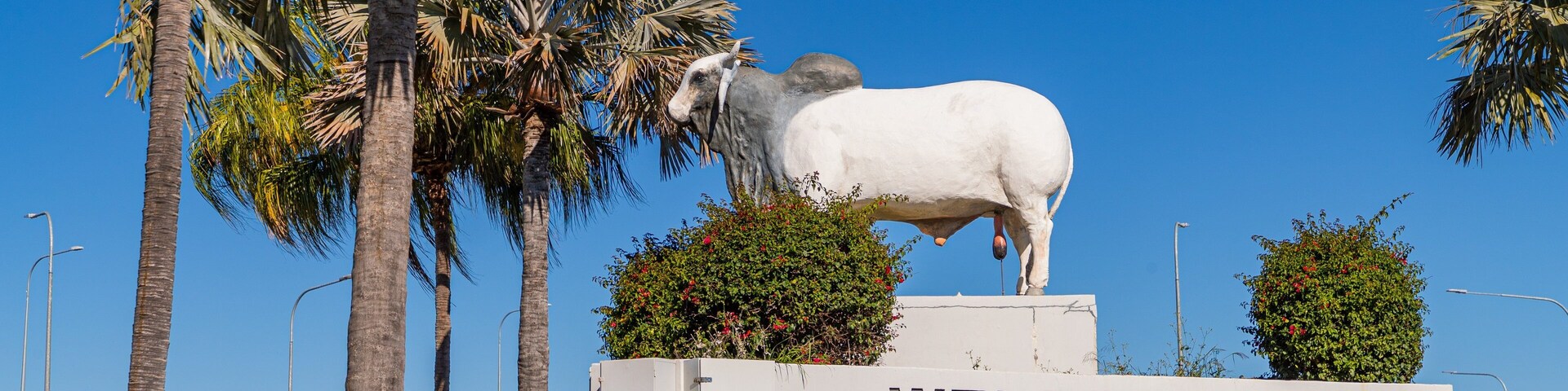 Rockhampton which includes signage