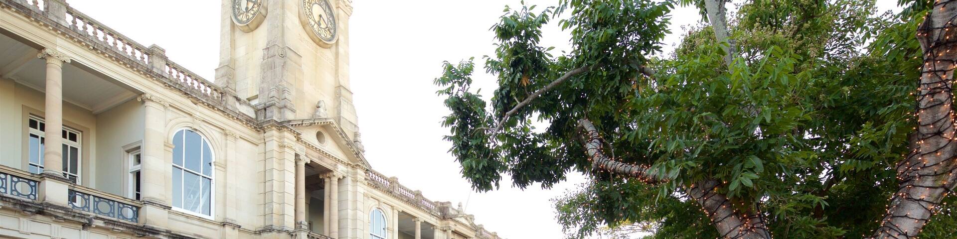A historic building with a clock tower, a tree with lights, and a street with cars.