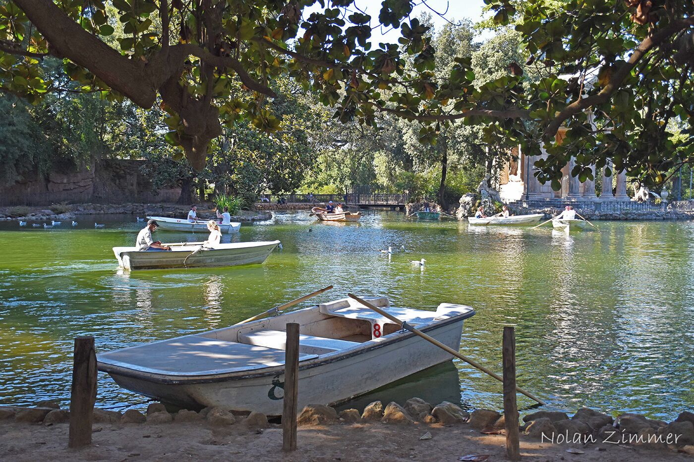 Beautiful garden to walk and relax in Rome with a great small lake in the middle where you can row