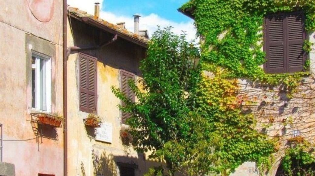 Inside the medieval fortress right outside of the ruins of Ostia Antica is this small #colorful neighborhood.
#green